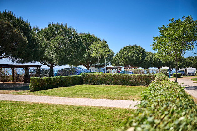 Istra Camping 2024 Camping Park Umag Accommodation units pitches Premium pitch PPM (3)