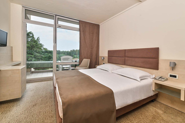 Classic soba z balkonom park stran