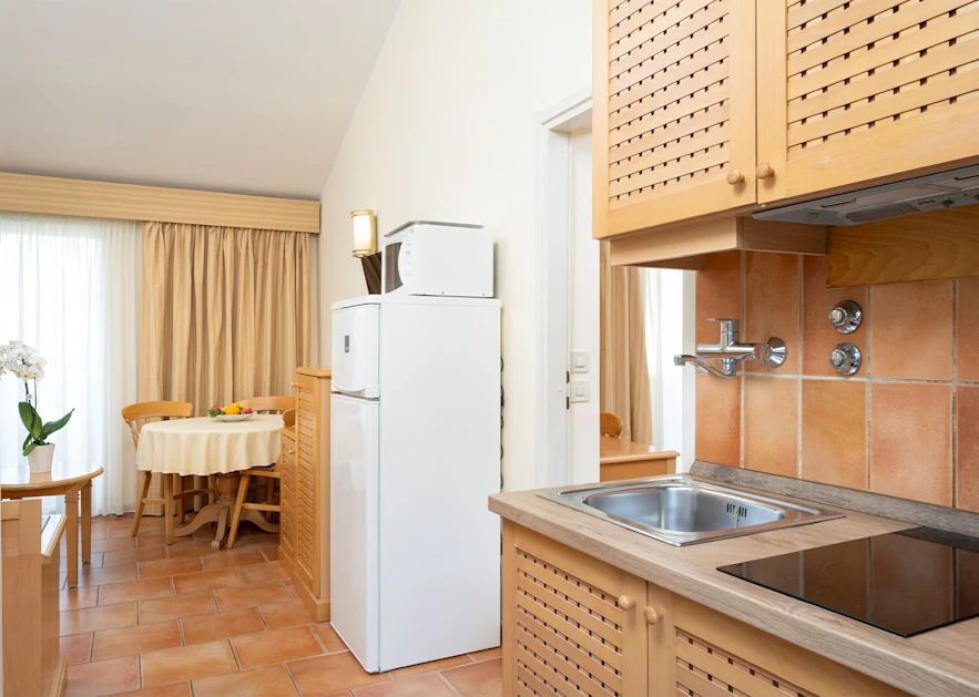 0031 Apartments Bellevue 2026 Studio for 3 persons with terrace park side S2TP1 (4)