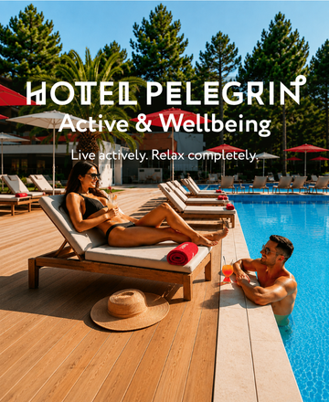 Pelegrin carousel desktop en