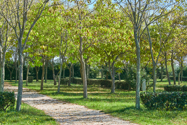 IC Camping Ulika 2019 Pitches Classic Pitch