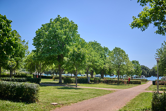 Istra Camping 2024 Camping Park Umag Accommodation units pitches Superior Lavanda Pitch SPL (6)