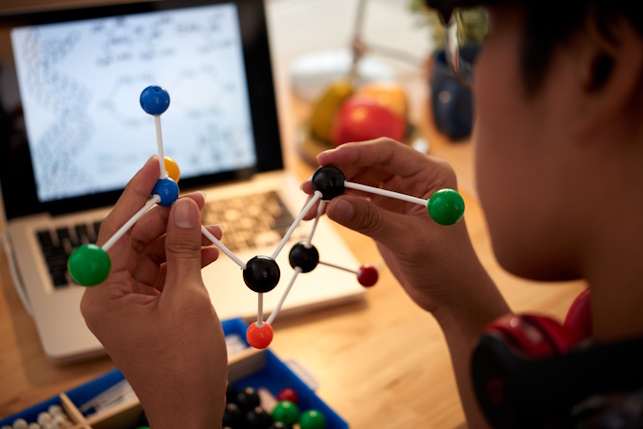 Family&Active - Little scientists