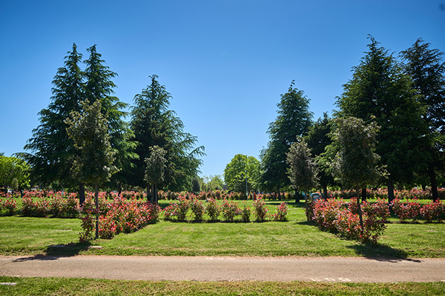 Istra Camping 2024 Camping Park Umag Accommodation units pitches Classic Plus Pitches CLP (5)