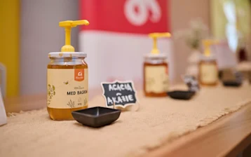 Save the bees 2026