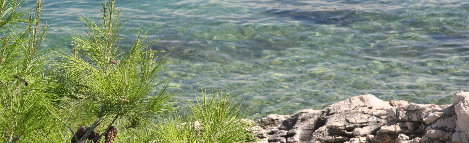 all naturist