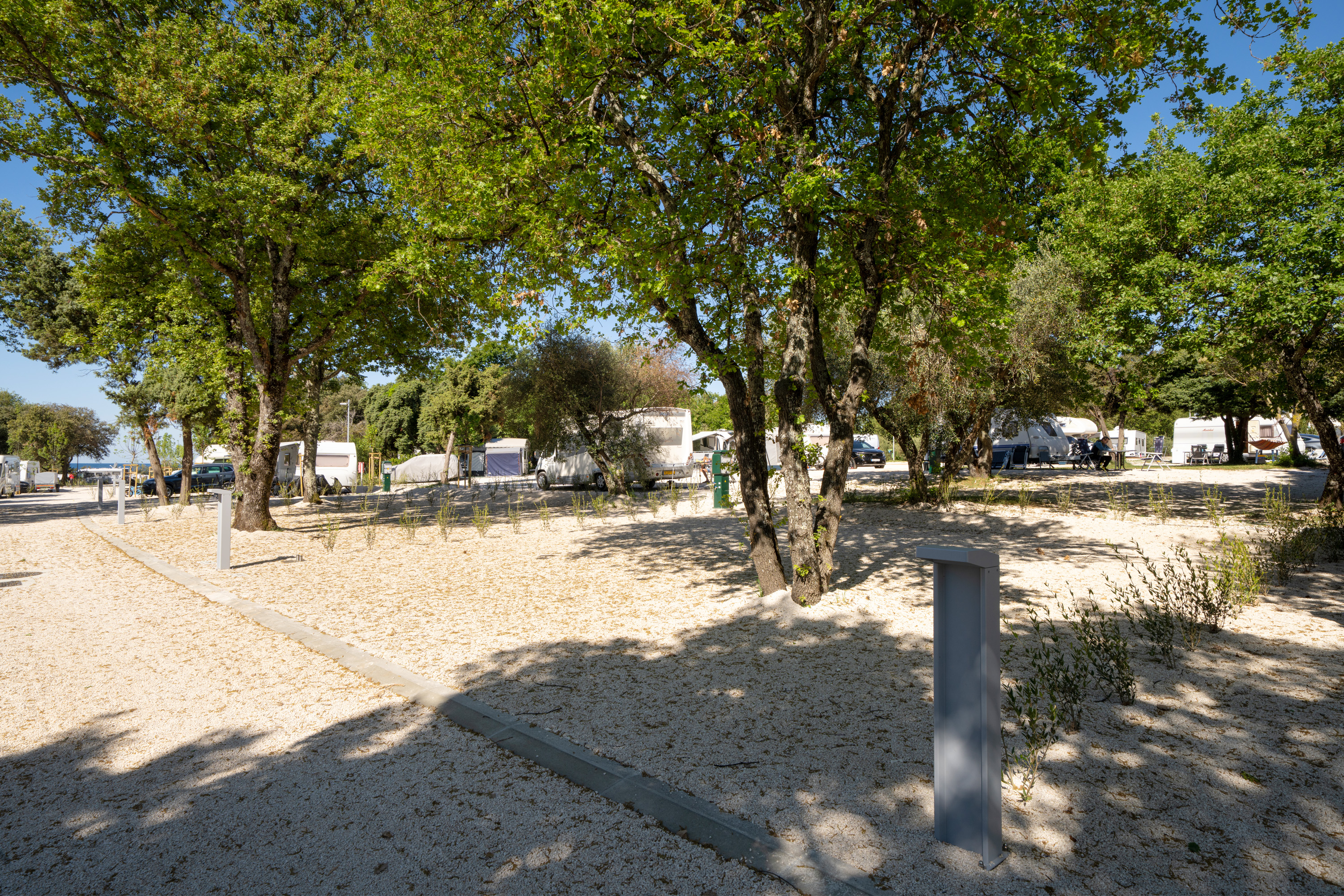 Superior pitch/ 0019 141345 Camping Ulika Istra Camping 2026 pitches Superior SP (6) 9504x6336