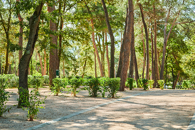 Camping Stella Maris 2019 Superior Pitch SP(7)