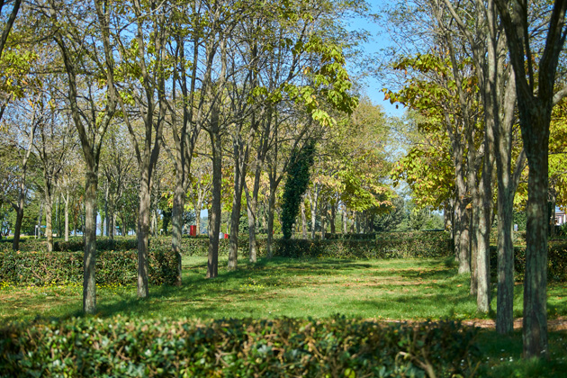 Istra Camping Camping Ulika 2019 Pitches Classic Pitch (2)