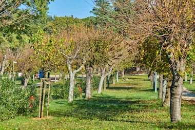 Istra Camping Camping Zelena Laguna 2019 Pitches Classic Pitch zone A