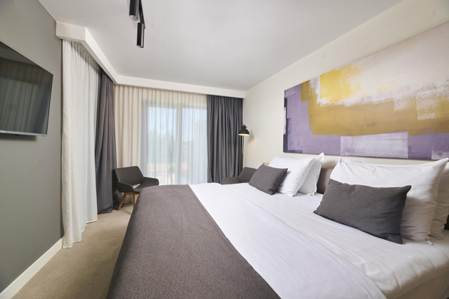 Suite with balcony sea view