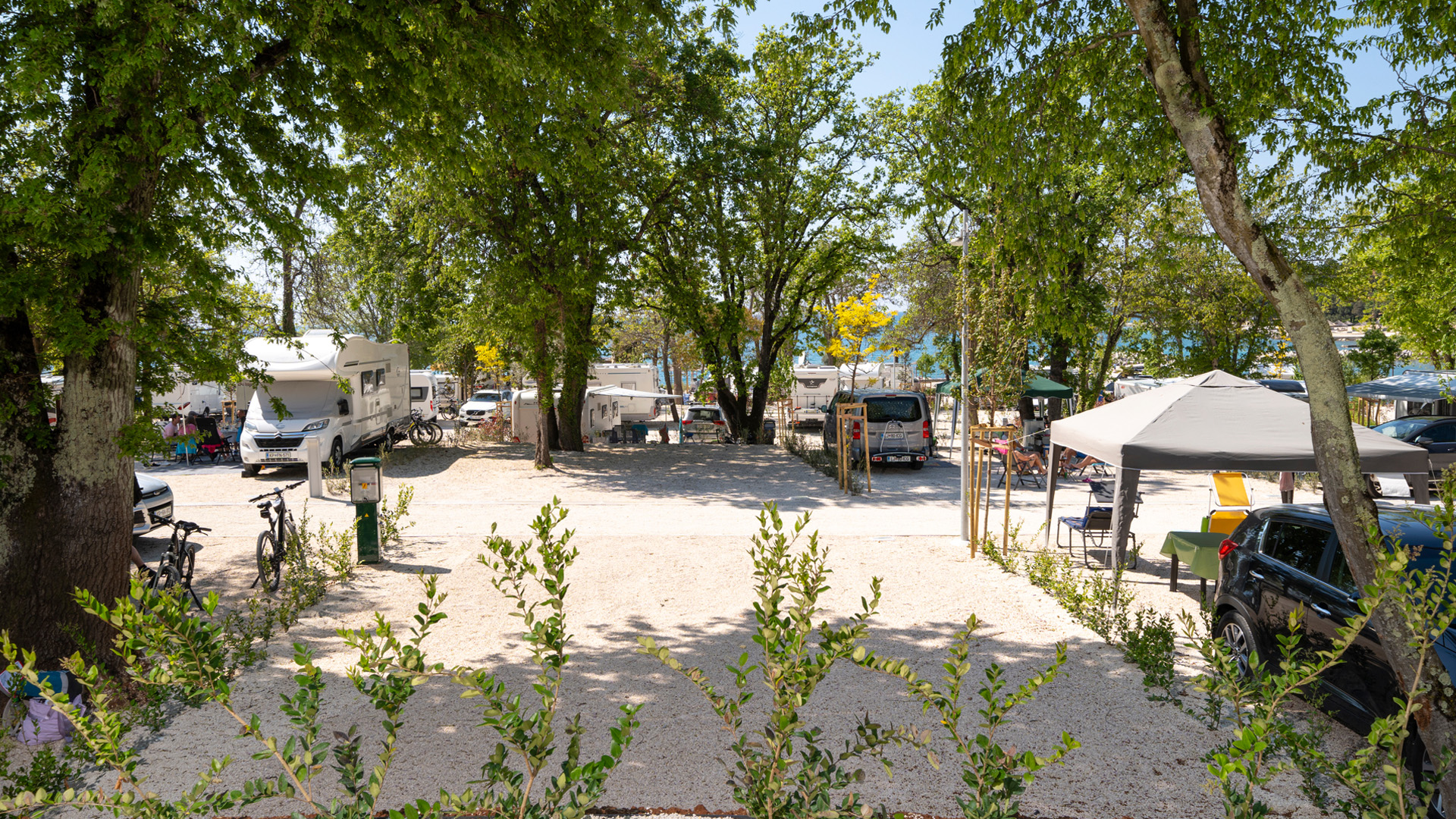 zelena laguna superior sp 2025 7 (1)