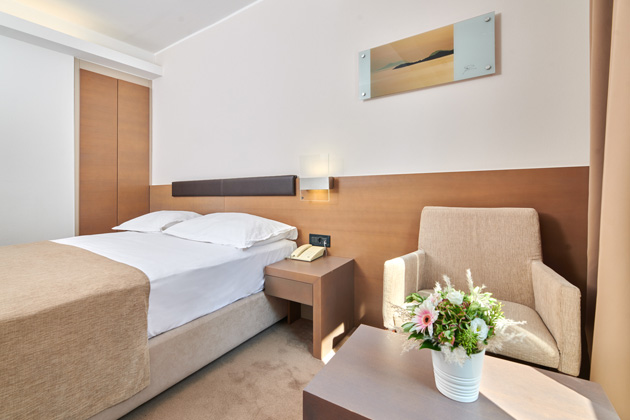 Hotel Molindrio Plava Laguna Economy room with french bed - E2F
