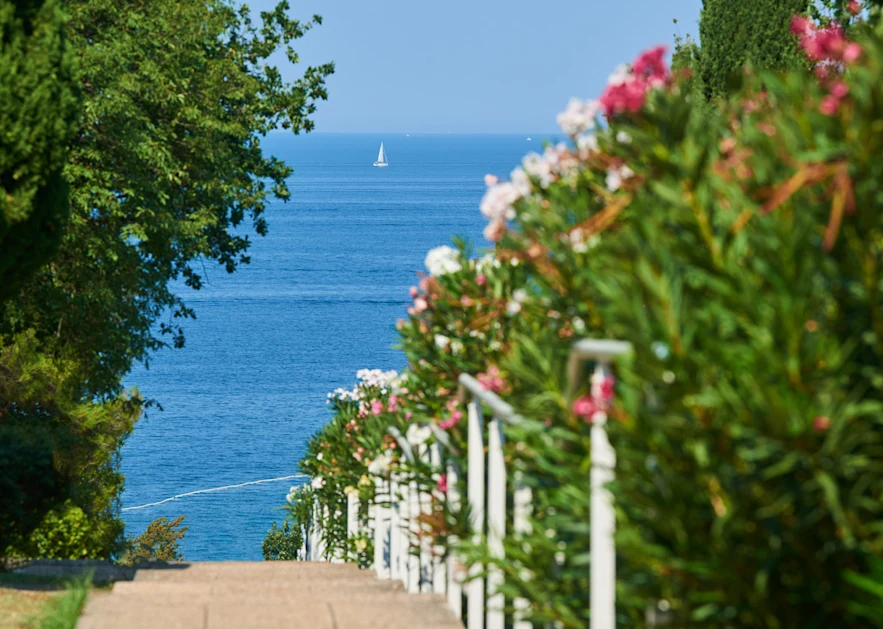 apartments-bellevue-plava-laguna-landscape