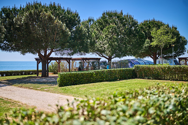 Istra Camping 2024 Camping Park Umag Accommodation units pitches Premium pitch PPM (1)