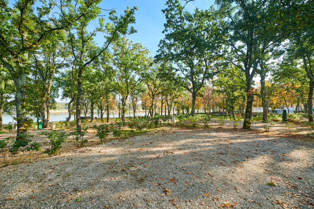 Istra Camping Camping Puntica 2019 Pitches Classic pitch - zone A CPA (2)