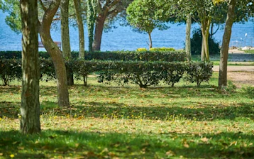 xxx 0016 campsites-camping-ulika-pitch-classic