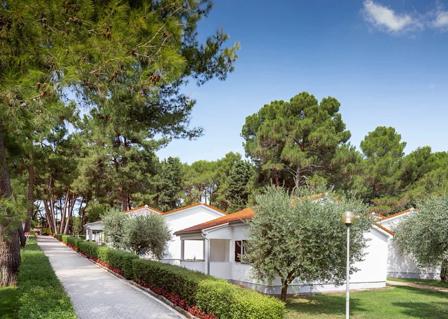 apartments-galijot-plava-laguna-landscape