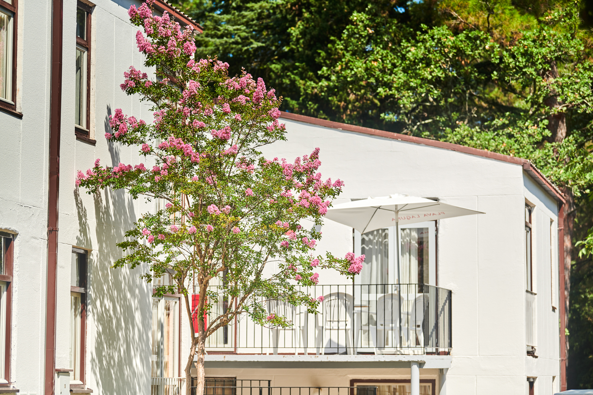 Apartments Astra gallery 1