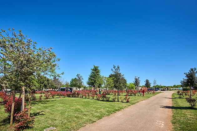 Istra Camping 2024 Camping Park Umag Accommodation units pitches Classic Plus Pitches CLP (3)