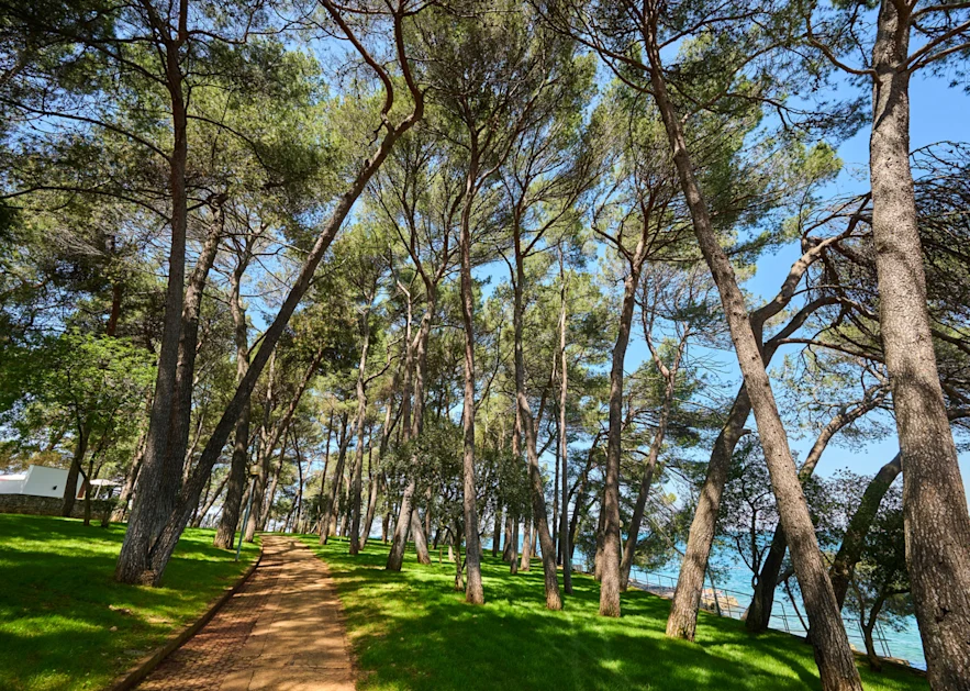 galijot-landscape (5)
