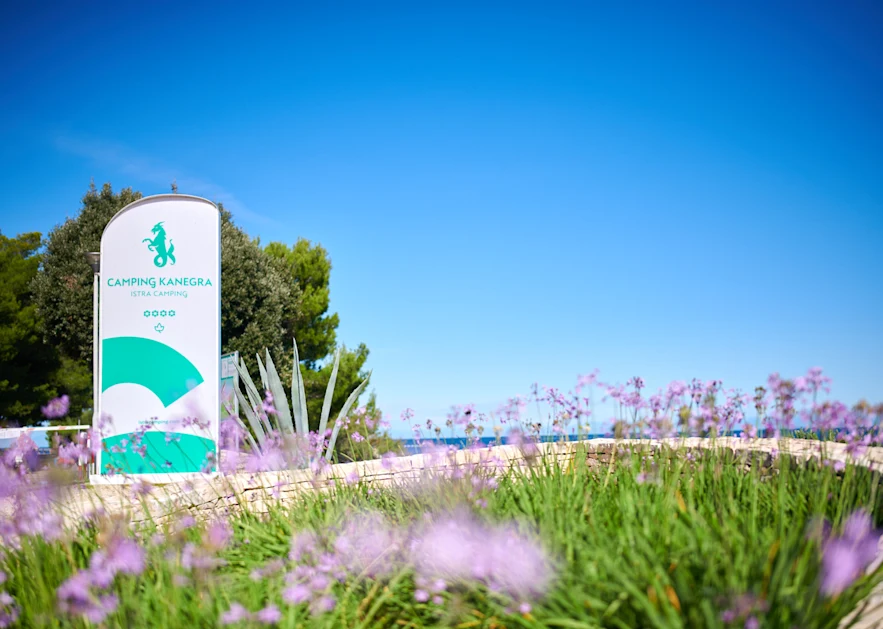 camping kanegra - gallery 1