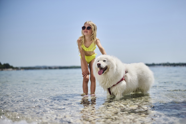 Istra Camping lifestyle 2023 pets friendly (17)