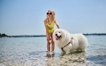 Istra Camping lifestyle 2023 pets friendly (17)