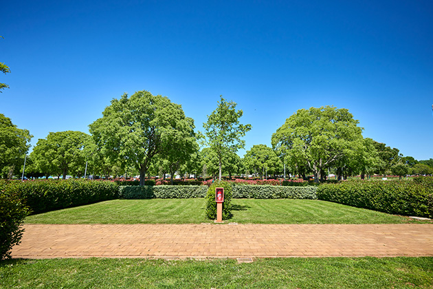 Istra Camping 2024 Camping Park Umag Accommodation units pitches Superior Pitches SP (1)