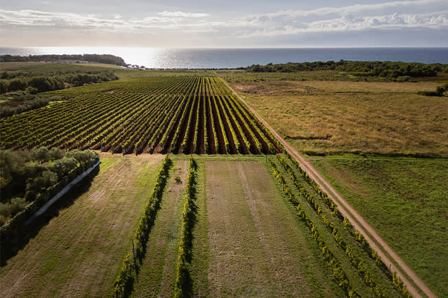 What do you want to do in Istria?