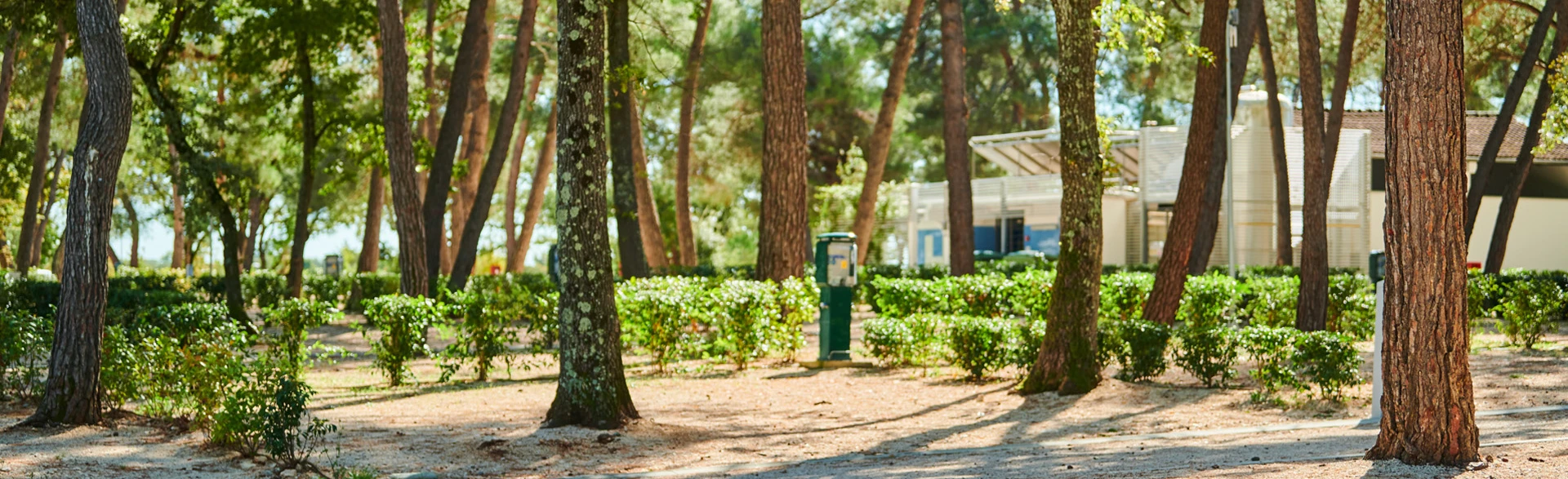 camping-stella-maris-accommodation-pitches