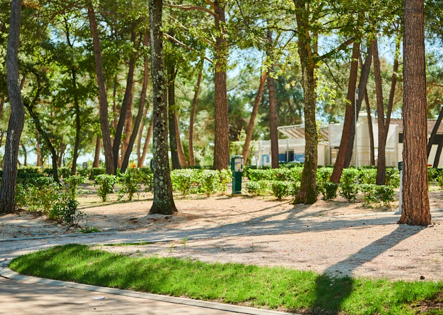 camping-stella-maris-accommodation-pitches