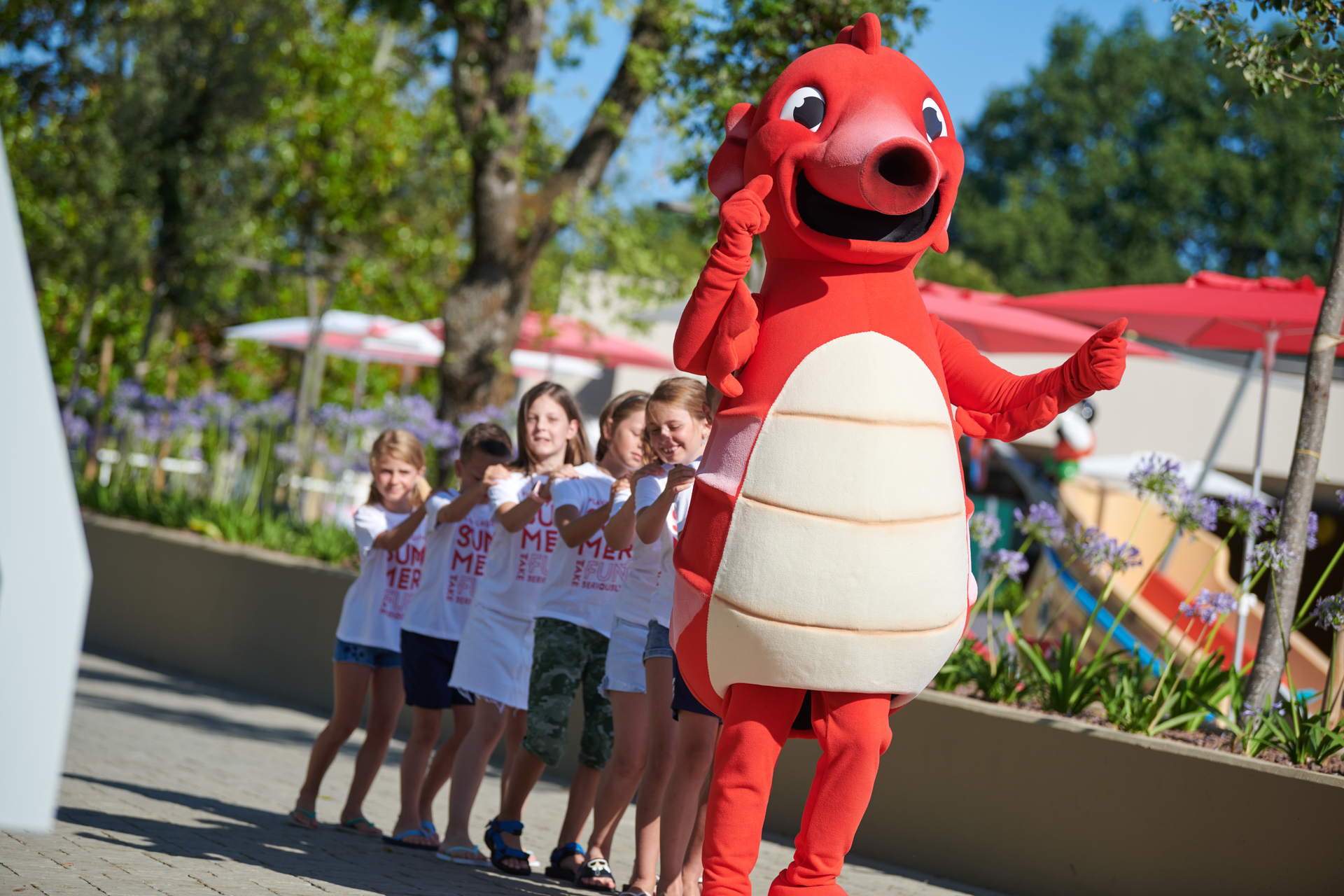 Park Resort - Activities & fun