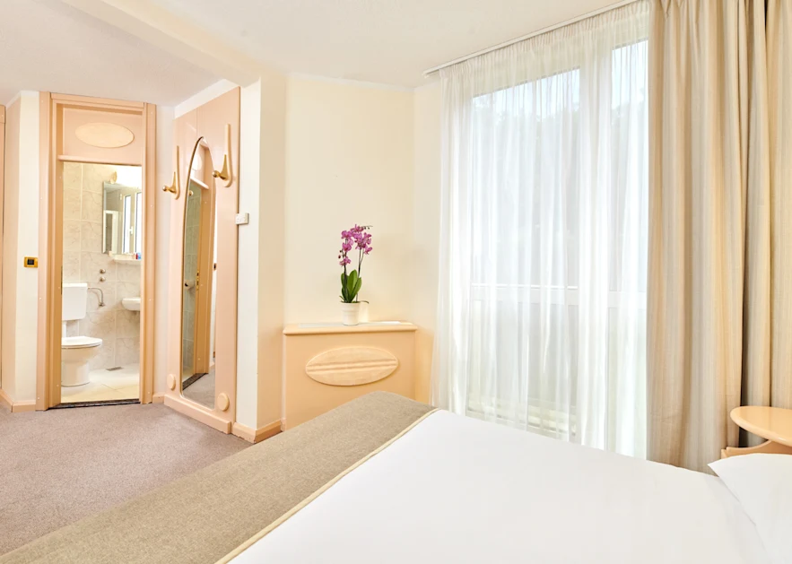 hotel-istra-plava-laguna-accommodation-units-economy-room-with-french-bed-1