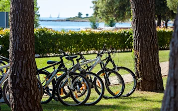 hotel-aurora-plava-laguna-sport-activities-bike