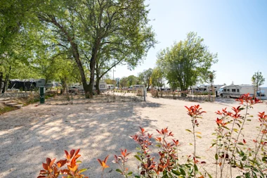 zelena laguna luxury pitch lp 2025 7 (6)