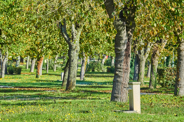 Istra Camping Camping Zelena Laguna 2019 Pitches Classic Pitch zone A (3)