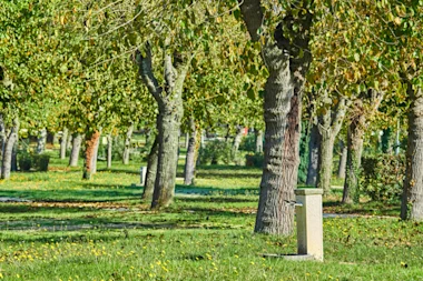 Istra Camping Camping Zelena Laguna 2019 Pitches Classic Pitch zone A (3)