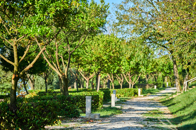 Istra Camping Camping Bijela Uvala 2019 Pitches Classic Zone B (4)