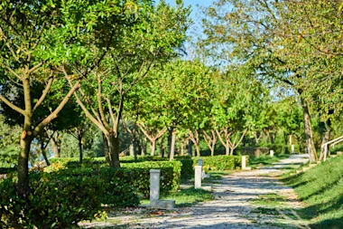 Istra Camping Camping Bijela Uvala 2019 Pitches Classic Zone B (4)