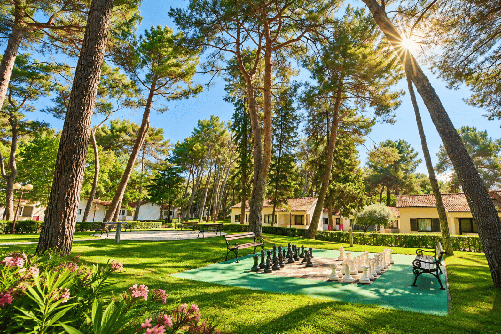 Plava Resort 2024 entrance landscape (18)