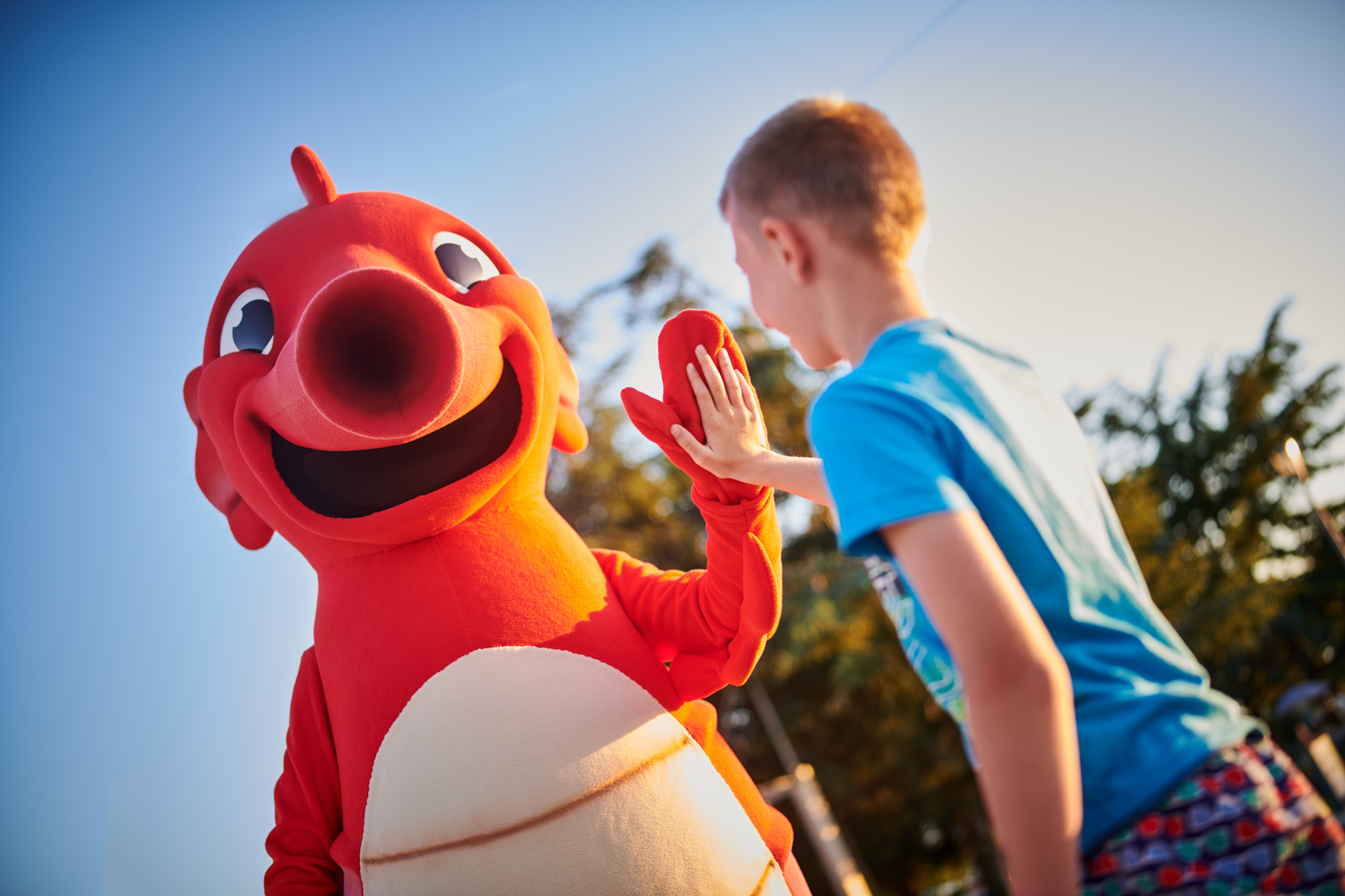 Istrian Villas - Activities&Experiences