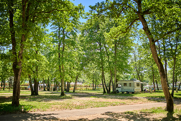 Istra Camping 2024 Camping Park Umag Accommodation units pitches Classic Pitch CP (3)