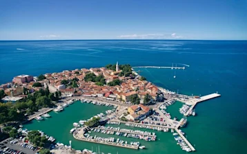 Novigrad