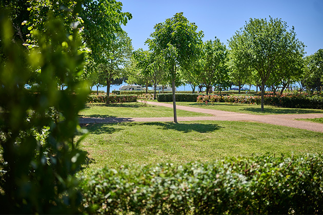 Istra Camping 2024 Camping Park Umag Accommodation units pitches Superior Lavanda Pitch SPL (8)