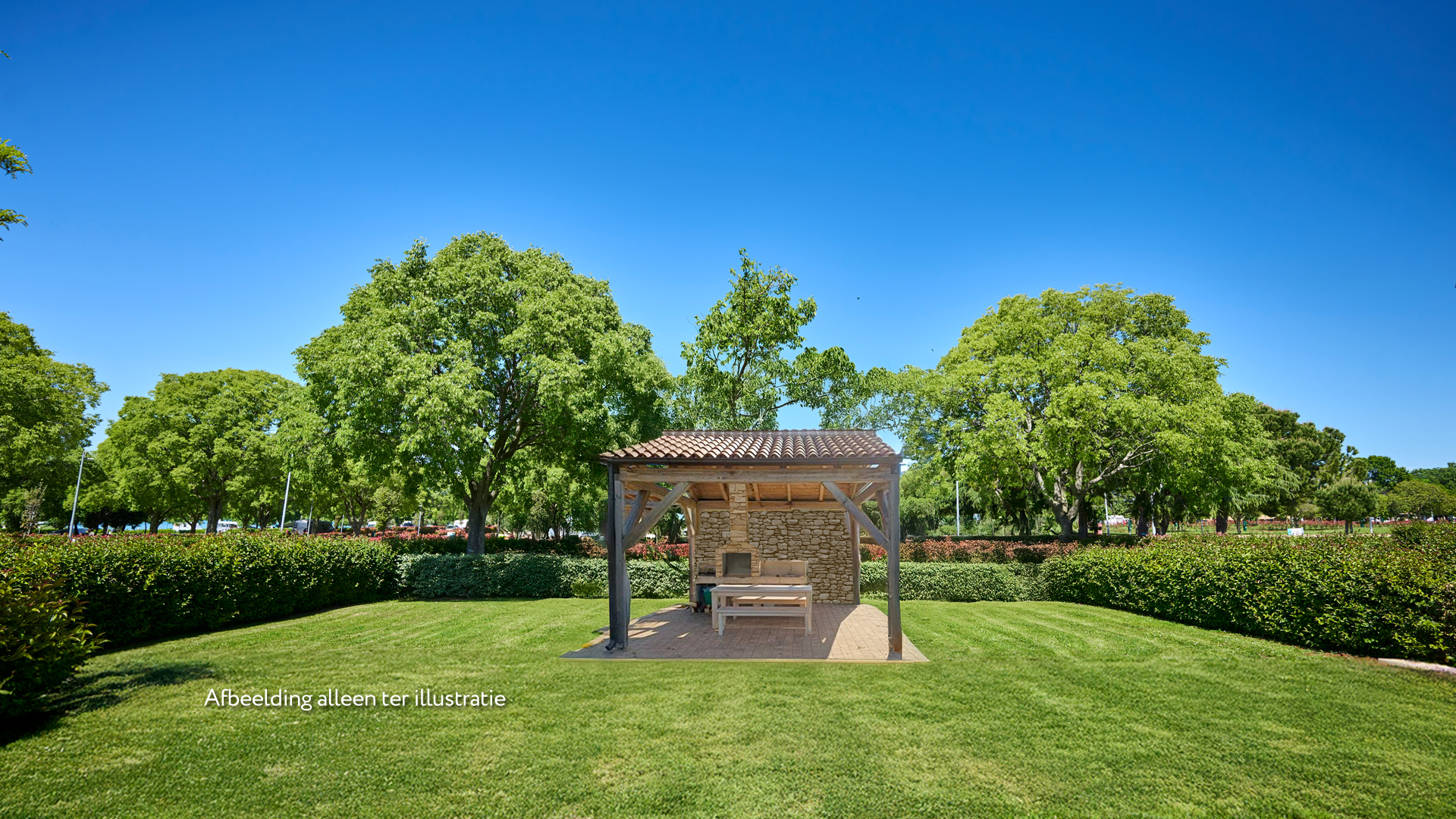 ic-cp-umag-pitches-nl