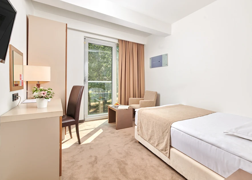 hotel-molindrio-plava-laguna-economy-single-room
