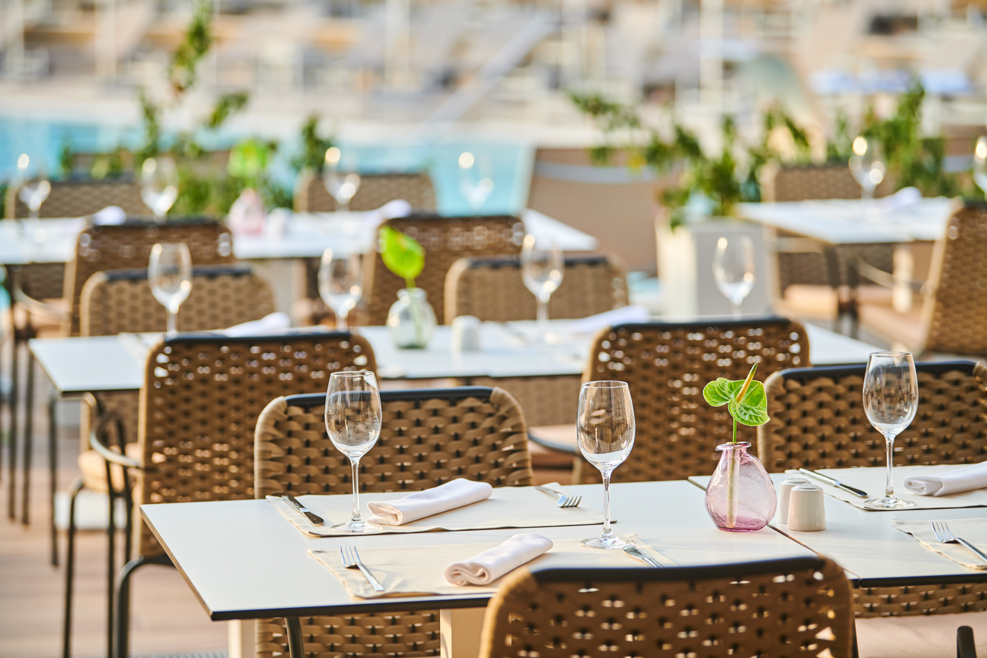 Park Resort - Restaurants and Bars