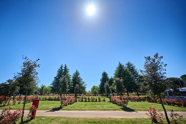 Istra Camping 2024 Camping Park Umag Accommodation units pitches Classic Plus Pitches CLP (4)