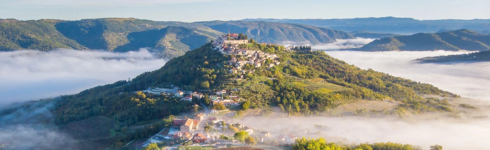 Novi web banner crop